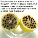 ���� �����)), ������ - ��������� 24 ���� 2025 � ������ ������ ��������