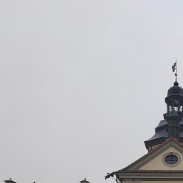 �����, ������, 38 ���