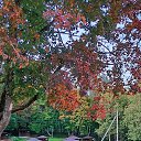 ���� �����, �����-��������� - ��������� 30 �������� 2025 � ������ ���� ����������