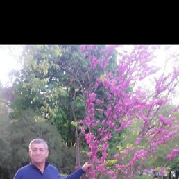 �����, 65 ���, ����