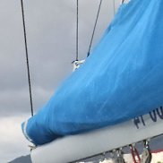 ����, 38 ���, ���������