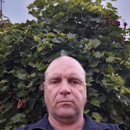 ������, 51 ���, ������