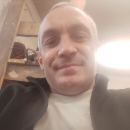 , 37, 