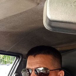 , 37, 