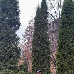 Marat, �������, 67 ���