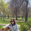 ���� &beta;Lasta, �������� - ��������� 27 ������� 2023 � ������ ���� ����������