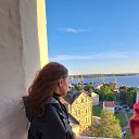 ���� �����, ������, 41 ��� - ��������� 6 ������ 2024