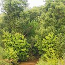 ���� ���������, ������, 37 ��� - ��������� 3 ������� 2025 � ������ ���� ����������