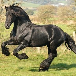 ����, ������, 25 ���