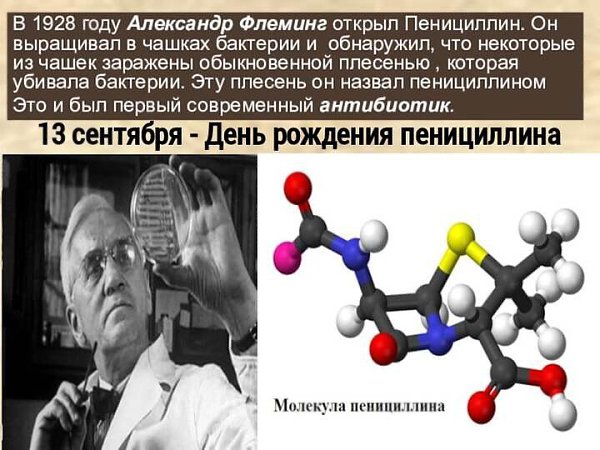 Именины: Мирон, Владимир, Дмитрий, Геннадий, Михаил - 4