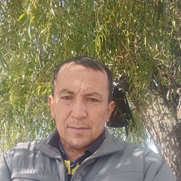 , 55, --