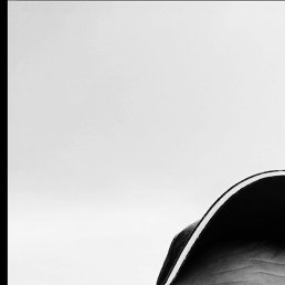 ������, ��������, 40 ���