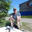 ���� ������, ������������, 66 ��� - ��������� 31 ����� 2026