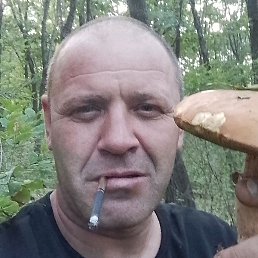 ����, ���������, 39 ���