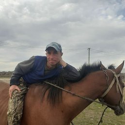 ������� �������, ������, 41 ���