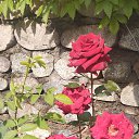 ���� �����, �������, 53 ���� - ��������� 21 ��� 2024 � ������ ���� ����������