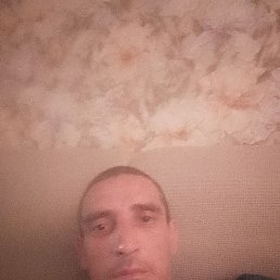 , 29, 