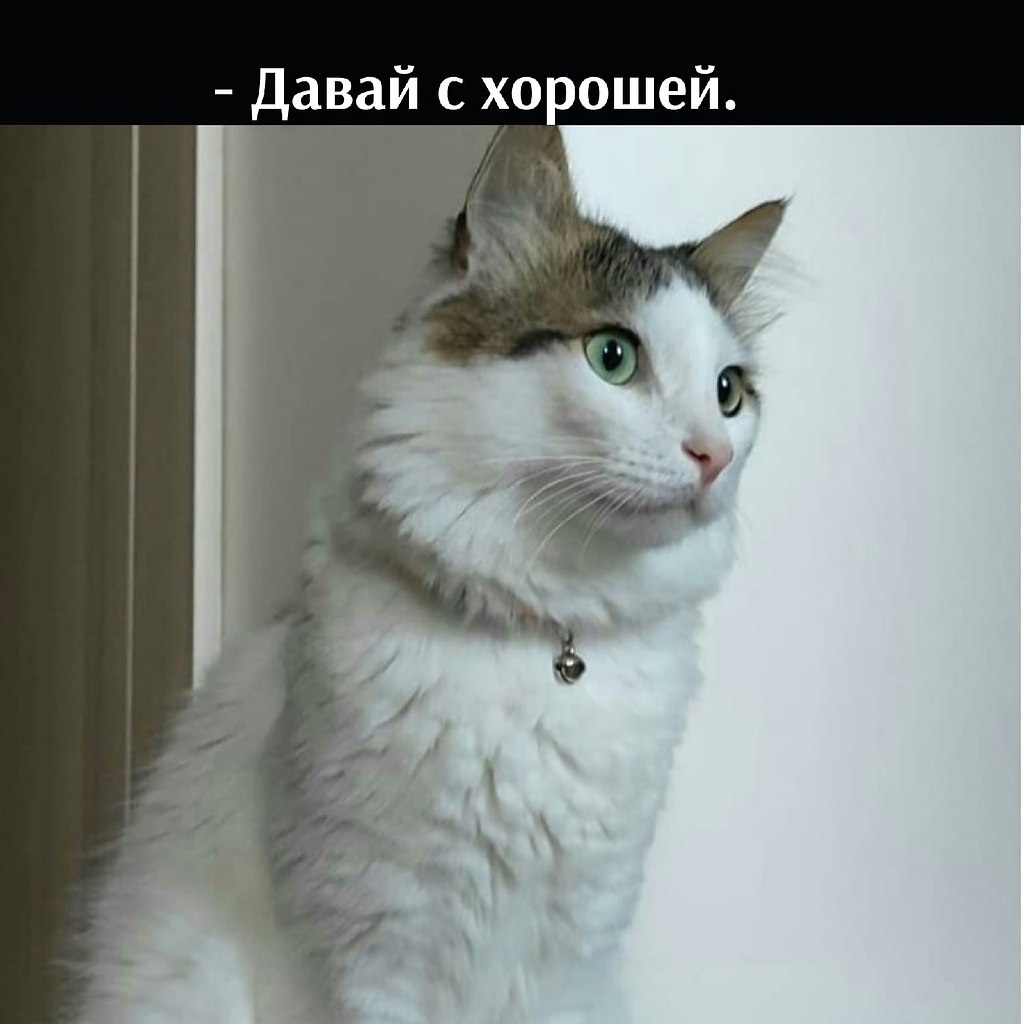       - 2  2025  11:10 - 2