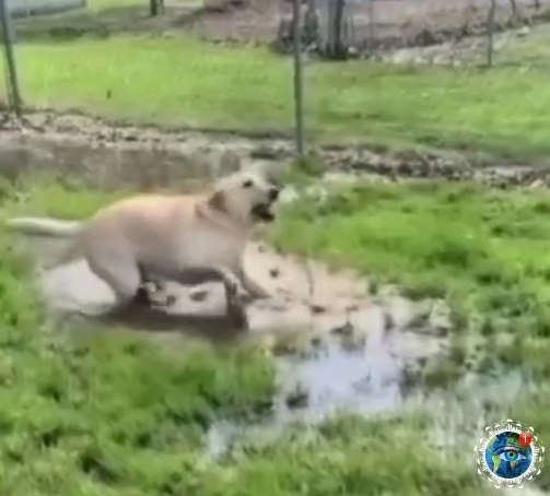 o ce: cea coaa aa   aaa pa o cac. aoe oe  poaeoe eo ...