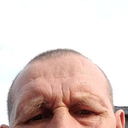 , 46, 