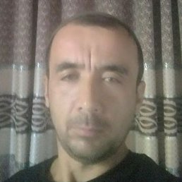 ������, ���������, 46 ���