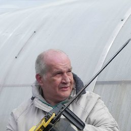 �����, ������, 65 ���