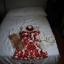 ���� �����, �������, 39 ��� - ��������� 12 ����� 2026