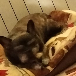 ���� �����, ���������, 48 ��� - ��������� 1 ����� 2025