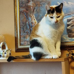 ���� �����, �����-���������, 61 ��� - ��������� 4 ������� 2026