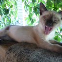 ���� �������, ������, 55 ��� - ��������� 13 ���� 2025 � ������ ������� ���