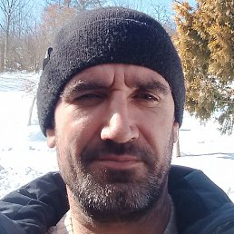 ��������, ���������, 40 ���