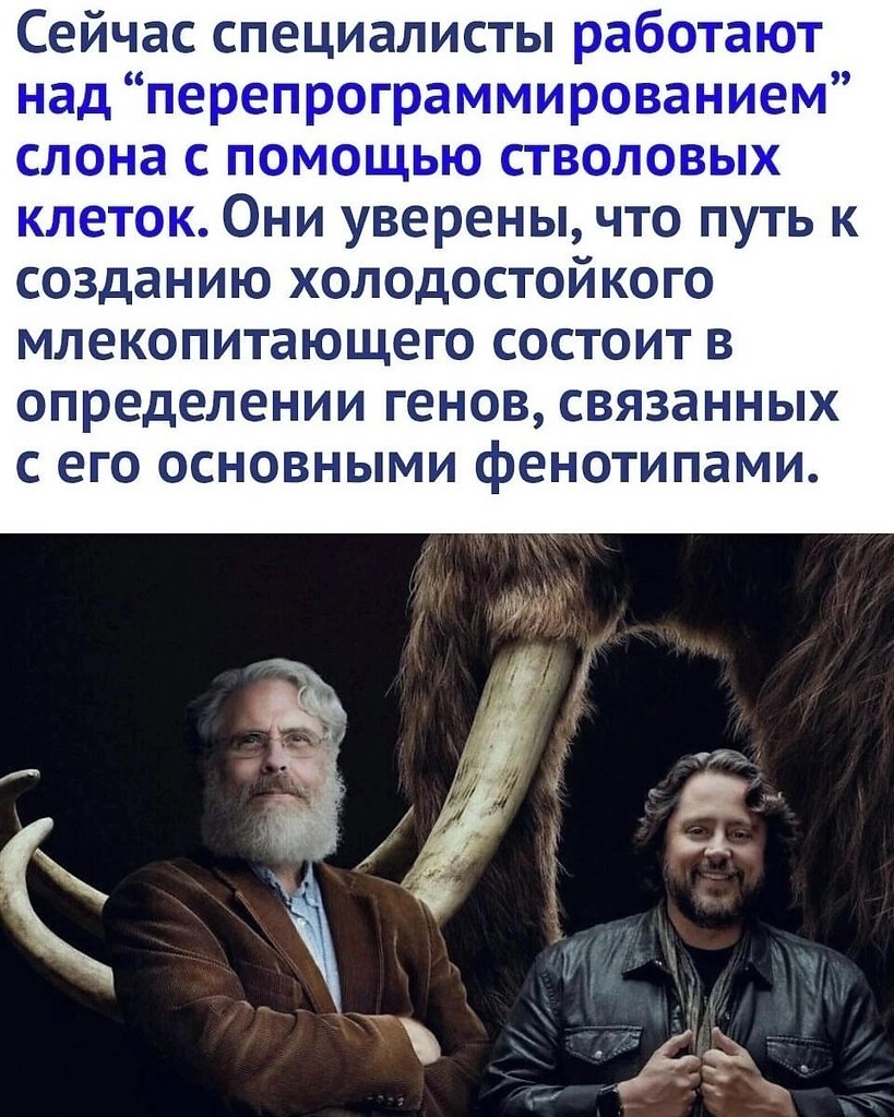      - 2