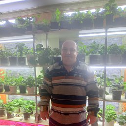 ������, 32 ����, �������