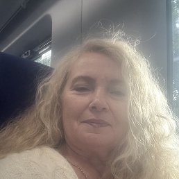 ���� ����, ����������� - ��������� 13 �������� 2026