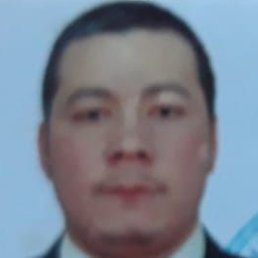 �����, ������, 43 ����