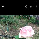 ���� ������/����!!!, ������-��-����, 58 ��� - ��������� 26 ������� 2025 � ������ ���� ����������