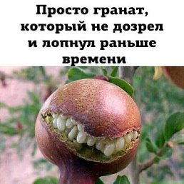 ���� ������, �����������, 67 ��� - ��������� 29 ���� 2026