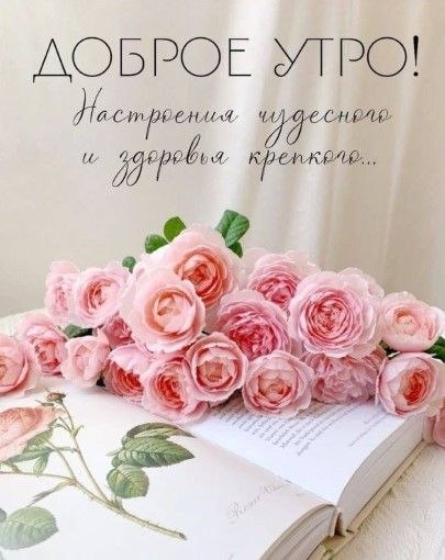 �� ����� ������! - 8 ��� 2026 � 09:27