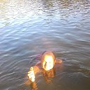 ���� ���������, ����, 61 ��� - ��������� 22 ������� 2025 � ������ ���� ����������