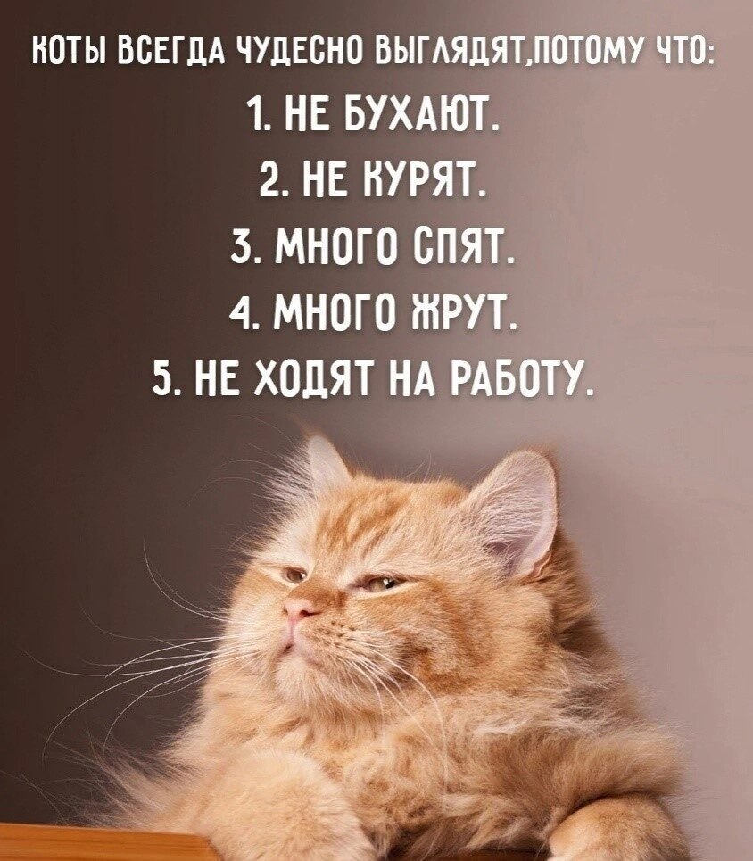 �� ����� ������! - 12 ������� 2026 � 07:38