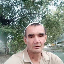 , 50, 