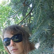 , 34 , 