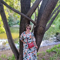 , 54, 