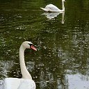 ���� ���������, ������-��-����, 36 ��� - ��������� 2 ������ 2026