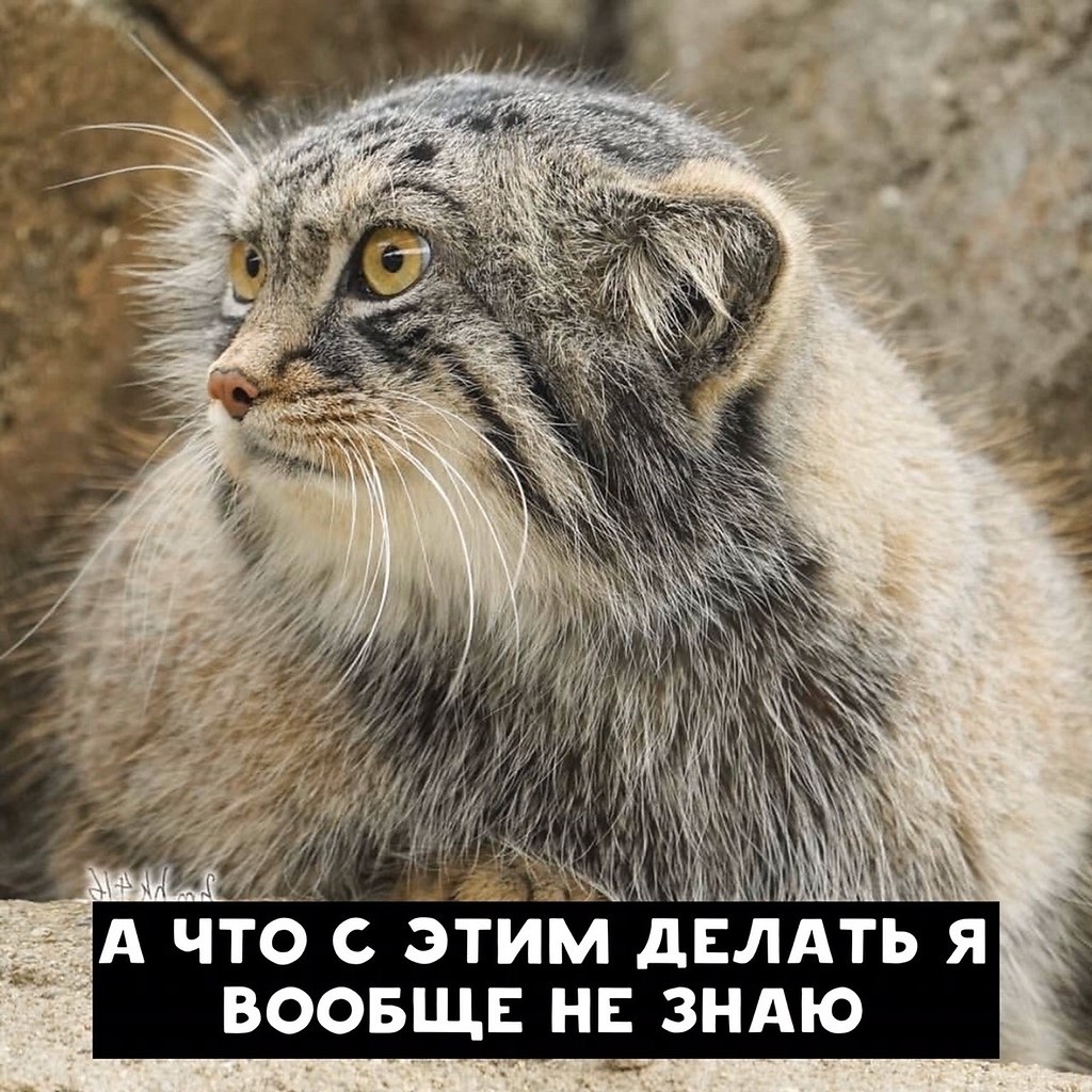 �� ���������� ������... - 5