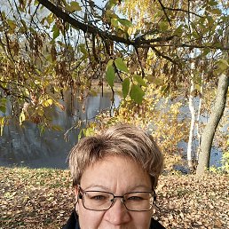 , 53, 