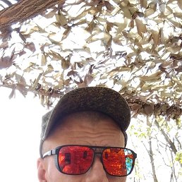 ������, ����������, 31 ���