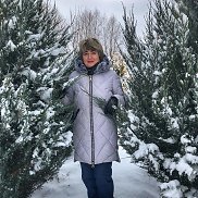 ����, 67 ���, �������