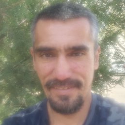 Sanjar, �������, 46 ���