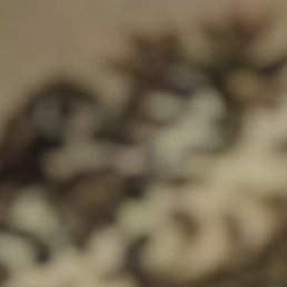 ����, ���������, 46 ���